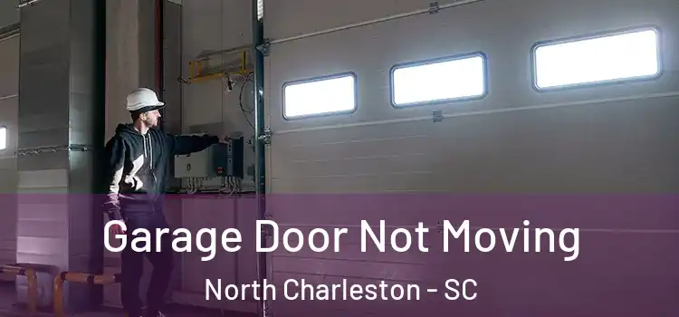  Garage Door Not Moving North Charleston - SC